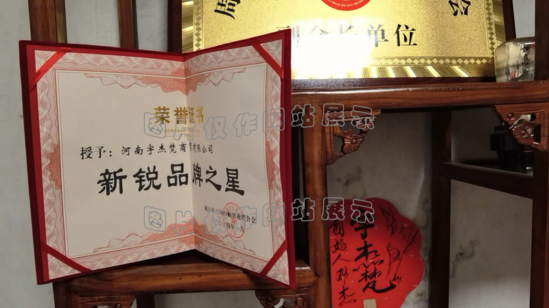 公司荣誉证书(图1)